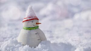 冷凍庫がパンパンにならないための効果的な対策は？
