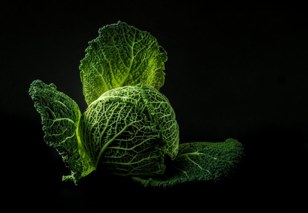坂ノ途中の野菜セットにはどんな中身が含まれているの？