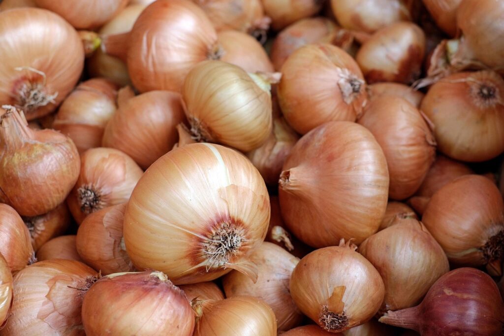 坂ノ途中の野菜セットの中身にはどんな野菜が含まれているの？