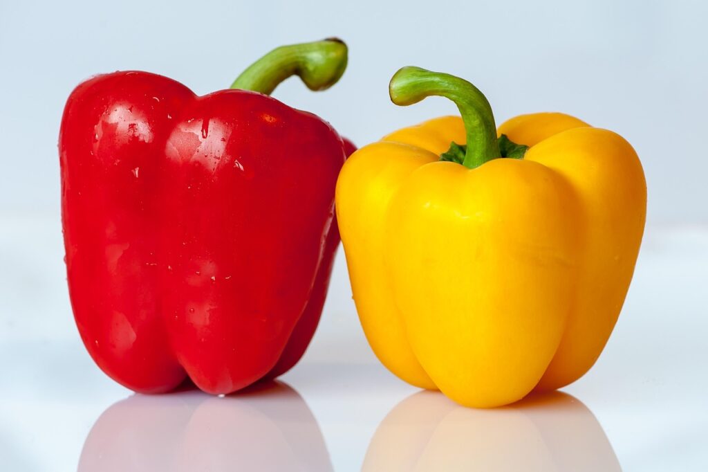タンパク質が摂れる宅食のおすすめメニューは？