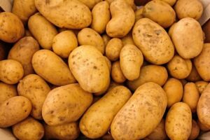 夜遅い平日の栄養食におすすめのメニューは？