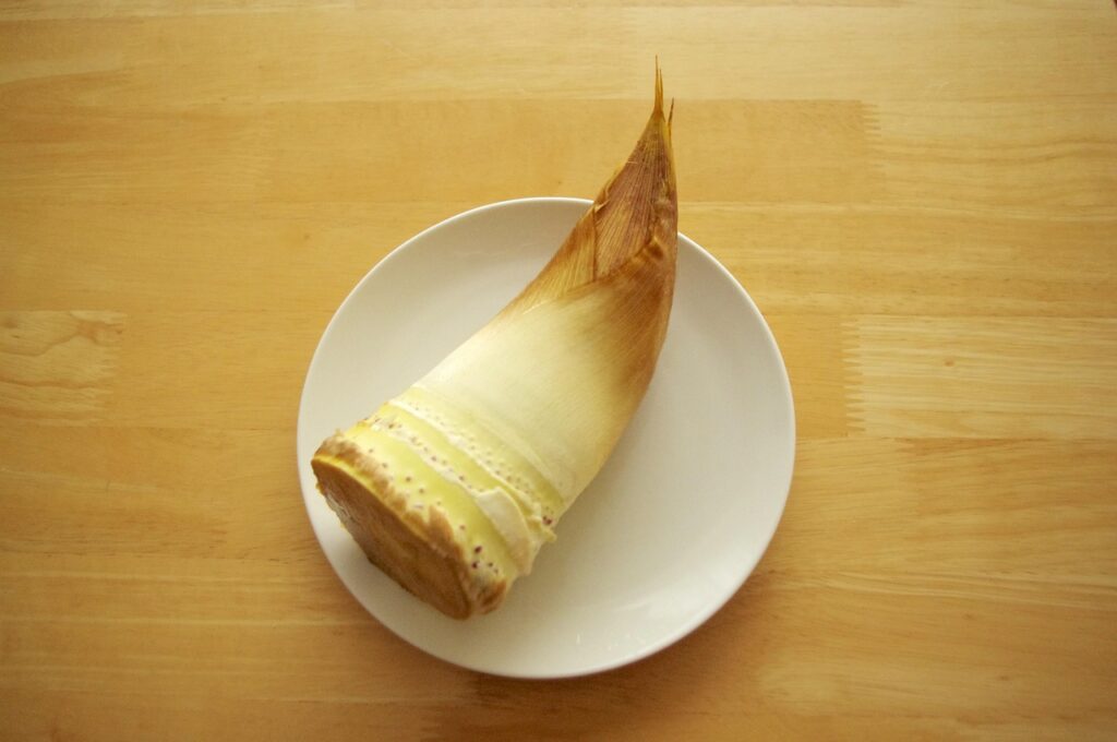 国産食材を使用した宅配弁当は女性にどんなメリットがある？