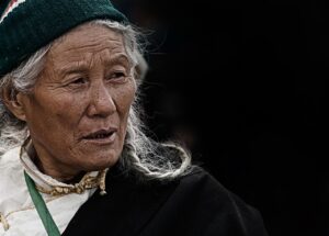 冷凍弁当の定期便は女性におすすめ？メリットと注意点を解説！