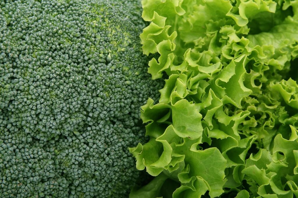 野菜たっぷりのごはん宅配サービスは女性にどんなメリットがある？