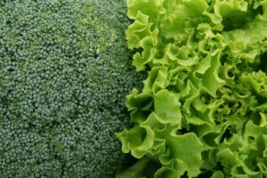 野菜たっぷりのごはん宅配サービスは女性にどんなメリットがある？